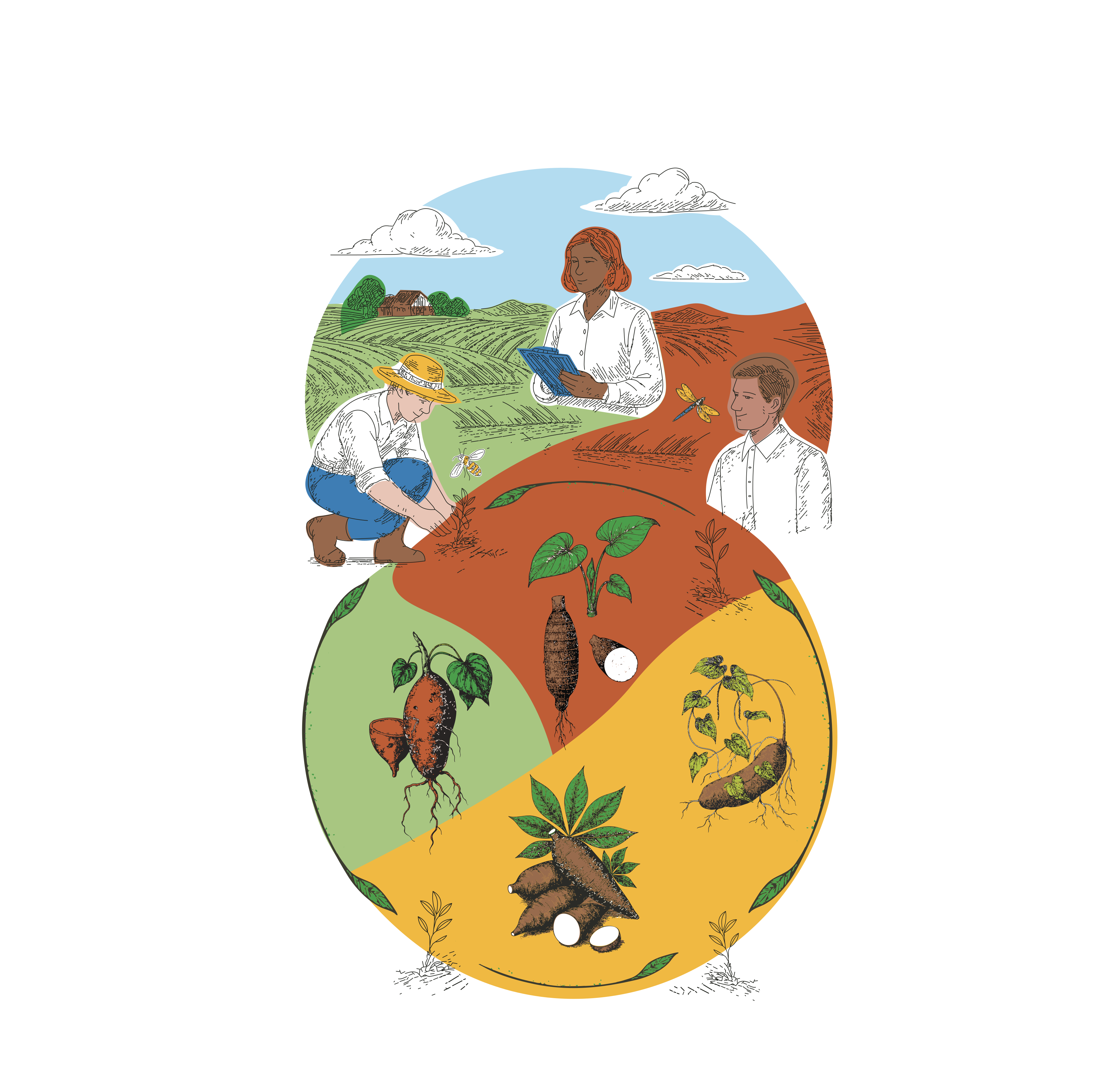 An illustration showing three people engaged in agricultural activities, with one person planting, another observing with a notebook, and a third person reading. The image is divided into sections displaying various plants and crops, including sweet potatoes and beans, set against a backdrop of rolling hills and clouds.